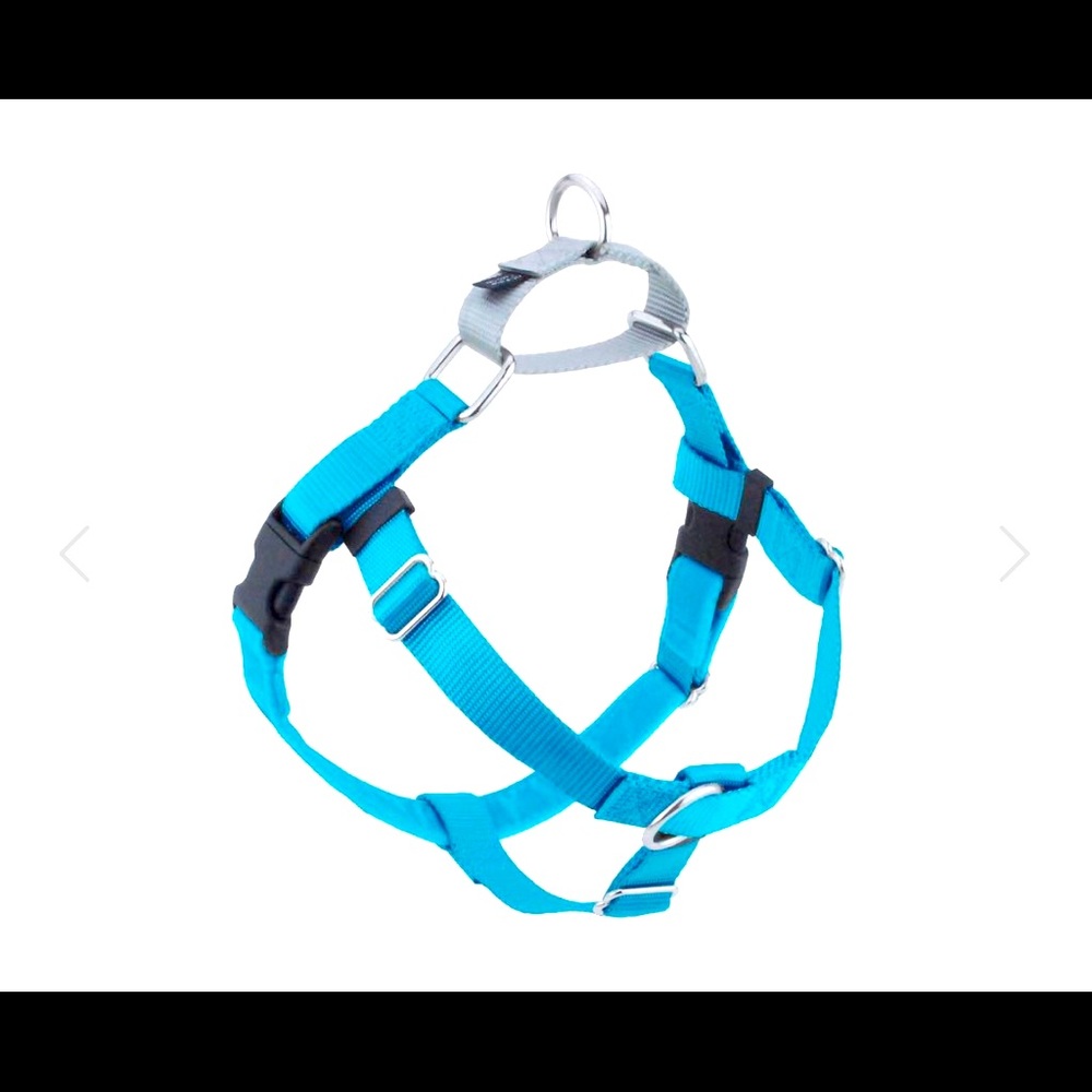 Turquoise No Pull Harness